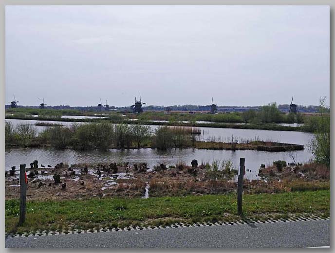 Kinderdijk (NL) 